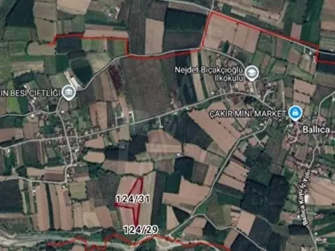 DÜZCE MERKEZ BALLICA DA SATILIK 16.449 M2 YER