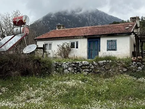 Tarla ve Köy evi