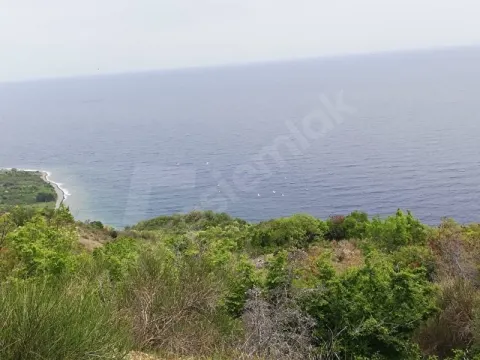SATILIK BAĞ BAHÇE