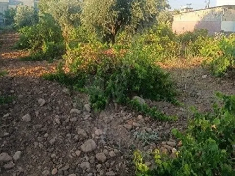 ihtiyaç tan satılık yatırımlık imarlı arsa