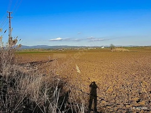 2 Yola Cepheli Yatırımlık Mil Toprak Fidan Dikimine Uygun