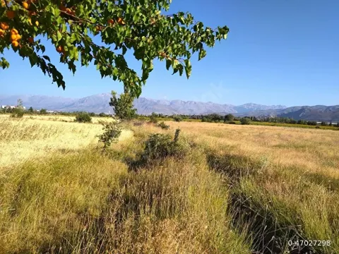 6.751m² YANLIZBAĞ'DA SULU TARLA| ANA YOLA 240m | BÜYÜK YATIRIM FIRSATI