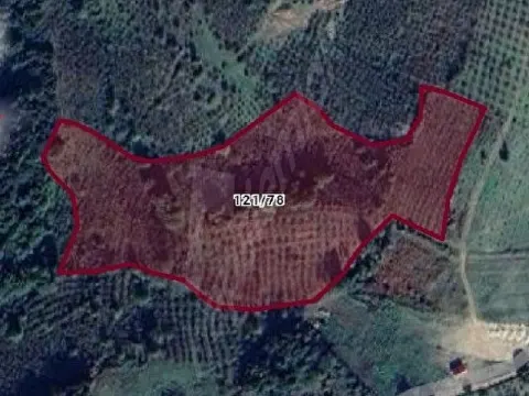 KANDIRA FINDIK BAHÇESİ 3.960 MT2 HİSSE