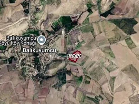Ballıkuyumda satılık tarla
