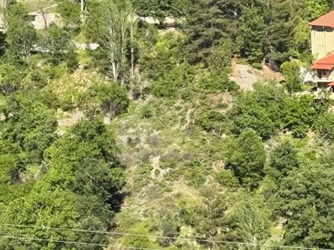 ALANYA MAHMUTSEYDİ MAHALLESİ SATILIK TARLA