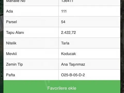 Acil Satılık Zeytinlik