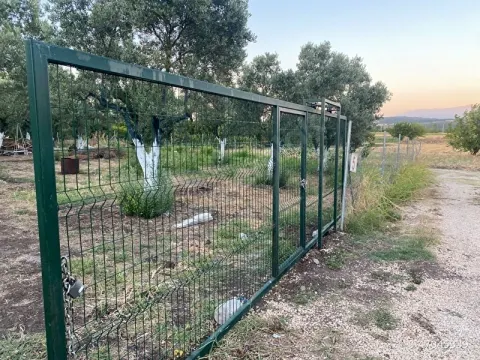 Karacaoba da bahçe