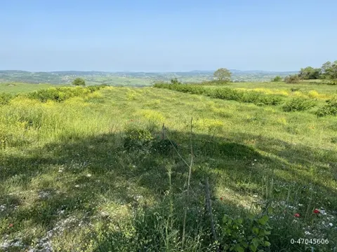 Kocaeli Kandıra Ağaçağıl Köyü Satılık Müstakil Tarla