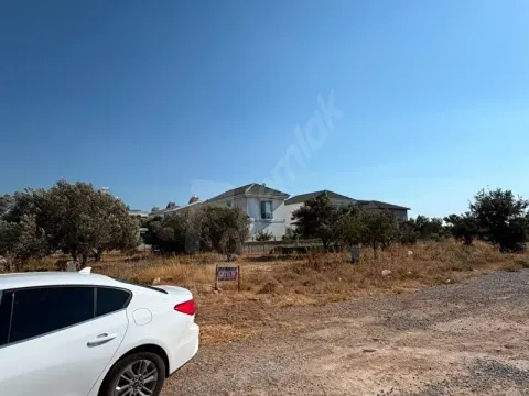 Didim Çamlıkta Fırsat! 1367 Ada 5 Parsel 817m² Villa İmarlı Kupon Arsa