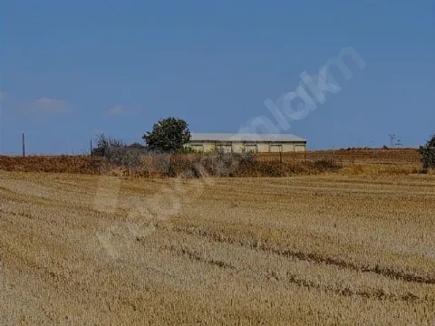 sahibinden satılık tarla