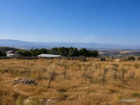 MALATYA/AKÇADAĞ KARANLIKDERE MAHALLESİ ACİL SATILIK 7037m TARLA