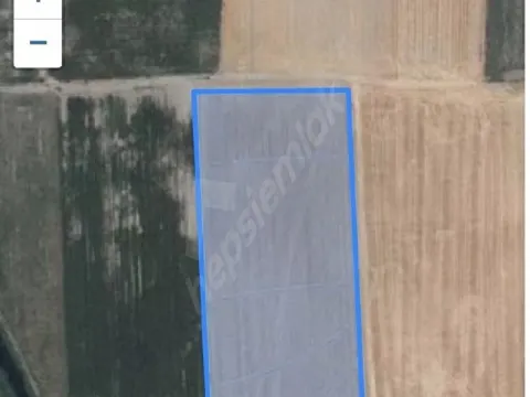 SATILIK 21.492M² VERİMLİ VE BEREKETLİ TARLA KAHRAMANMARAŞ/TÜRKOĞLU/BEYOĞLU GAVUR GÖLÜNDE (AMİK OVASI