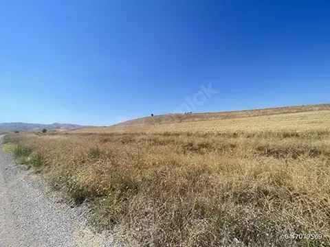 UYGUN FIYATLI ARAÇ TAKASINA UYGUN