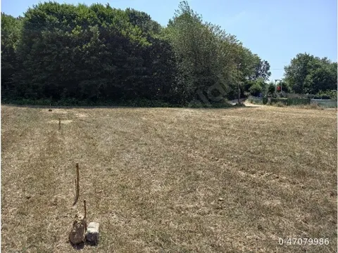 Bolu Merkez Gölköy’de Orman Sınırında Elektrik, Su ve Kanalizasyonu Hazır 1.284m²