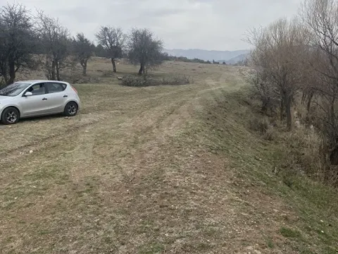 Çobanisa’da 1503 Metrekare Müstakil Tapulu Resmi Yola Cephe Tarla