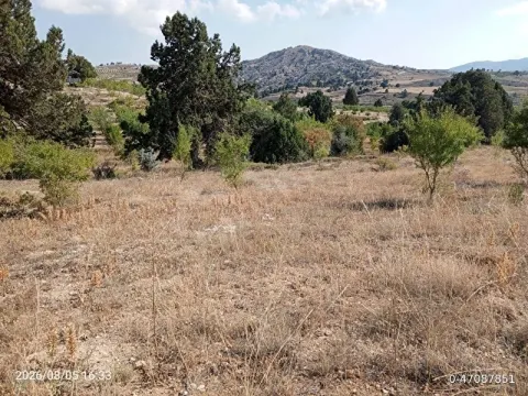 Satılık tarla