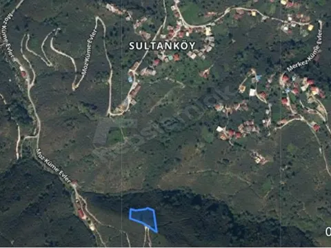 Giresun Tirebolu"da 3054m2 Yolu Olan Fındık Bahçesi