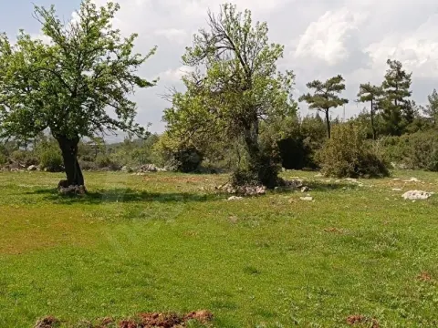 BÜYÜK FIRSAT!!! DENİZE YAKIN 300 M2 KONUT YAPI KAYIT BELGELİ SATILIK 3069 M2 ARAZİ