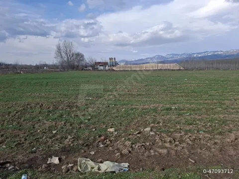 Satılık Tarla