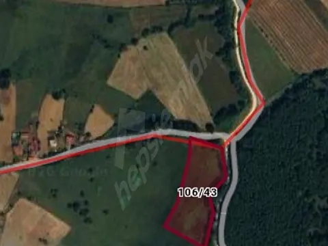 ERFELEK BAŞARAN KÖYÜ 10927 m²