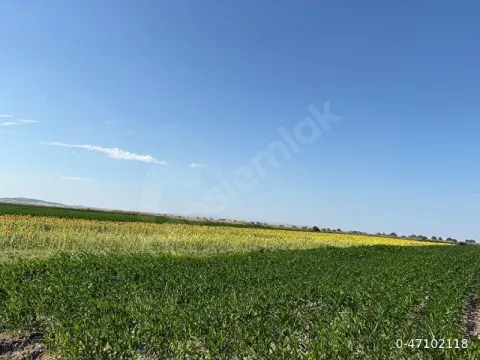 BALIKESİR MANYAS KOCAGÖL MAHALLESİ SATILIK TARLA