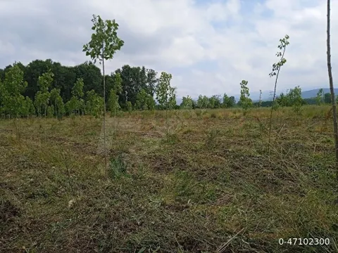 Sahibinden yatırımlık tarla