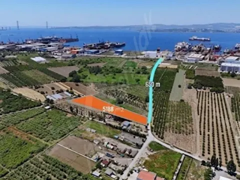 YALOVA ALTINOVA DA SATILIK TARLA