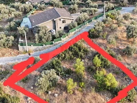 Fethiye Bozyerde