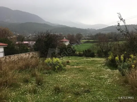 Fethiye Yaka da Çok Nadir Konum