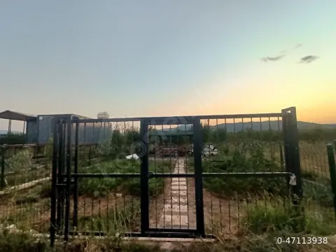 mendereste kamelyali hobi bahçesi
