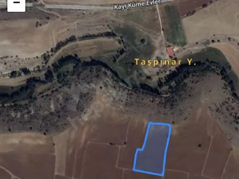 MİHALIÇÇIK KAYI KÖYÜNDE 2TANE SATILIK TARLA
