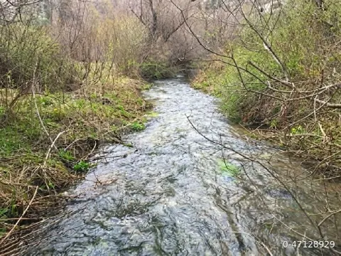 BURSA DA DEREYE CEPHE MÜSTAKİL BAHÇE