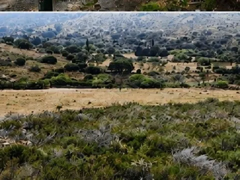 bodrum Dereköy de satılık