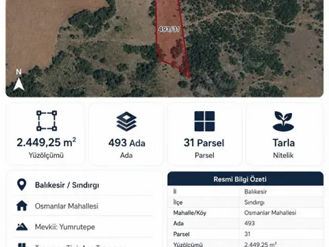 SINDIRGI OSMANLAR YUMRUTEPE’DE 2.449 m² SATILIK TARLA | 493/31