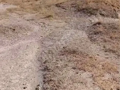 sahibinden satılık arsa