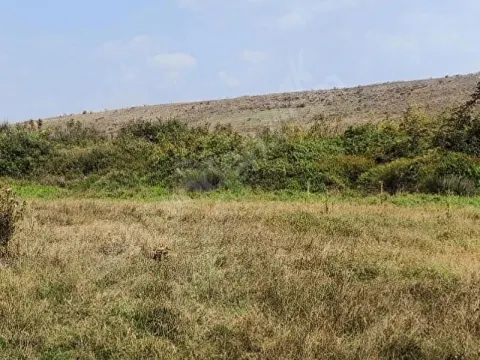 Çanakkale Bayramiç Tarla