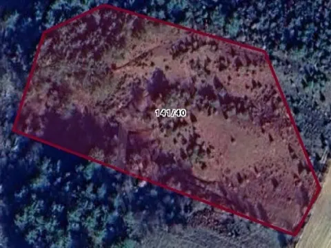 ACİL 11.000 M2 SATILIK MÜSTAKİL TAPULU TARLA