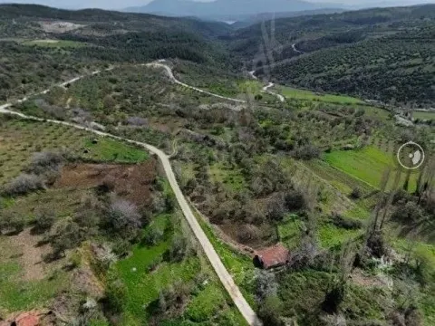 Manisa Soma boncuklu 1.410 mt tek tapu