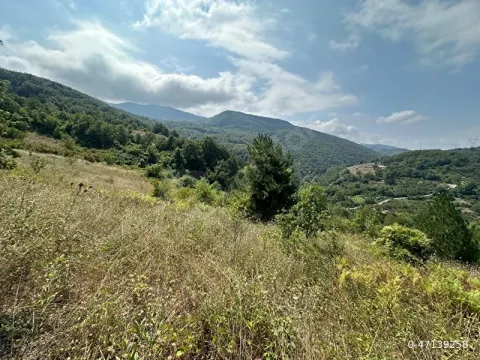 Yatırımlık Fırsat arazi