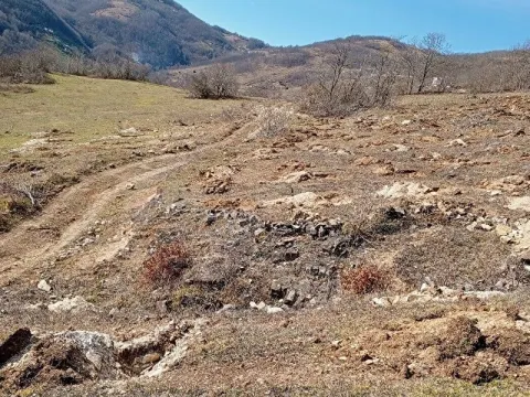 7 dönüm fındık Dikili kadasal yola cephe satılık tarla