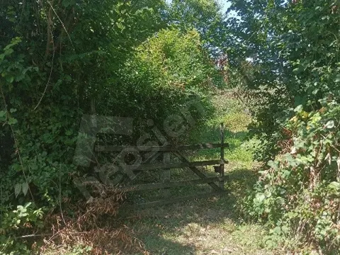 SATILIK TERME KOYBUCAGİ FINDIKLIK TARLA
