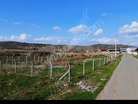 ACİL ŞAHİNLER AĞACIK ASFALT YOLA 80 METRE CEPHE, TEK MÜSTAKİL TAPU, SAHİBİNDEN