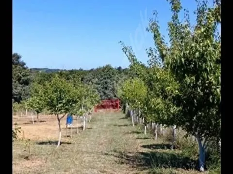 Çatalca Kalfa mahallesi 2200m2 Tarla 60m2 Yapı kayıt belgeli
