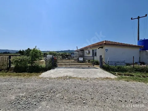 Gönen’e Çok Yakın 2798 m² Müstakil Ev & Bahçe