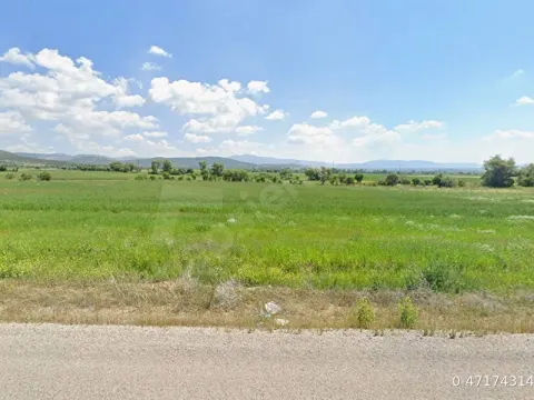 Konya Hüyük'te Yola Yakın! 2.523 m² Müstakil Tapulu Tarla
