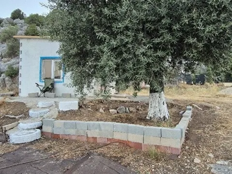 Tek tapu bahçe