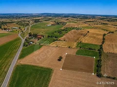 KARAİNCİRLİ 1624 m² MUSTAKİL TEK TAPU TARLA