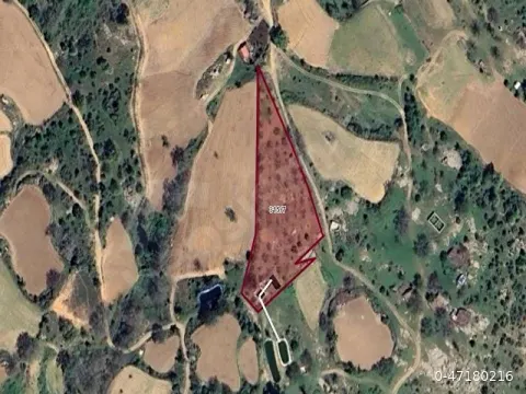 SATILIK CEVİZ BAHÇESİ