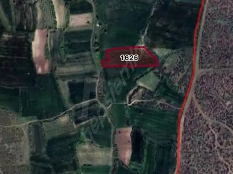 Balikesir nergiz mahallesi baklacık mevkide 8 dönüm tarla