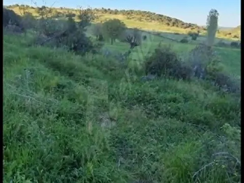 acil satılık yatırımlık ucuz tarla